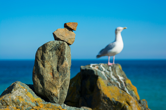 Sculpture and seagull